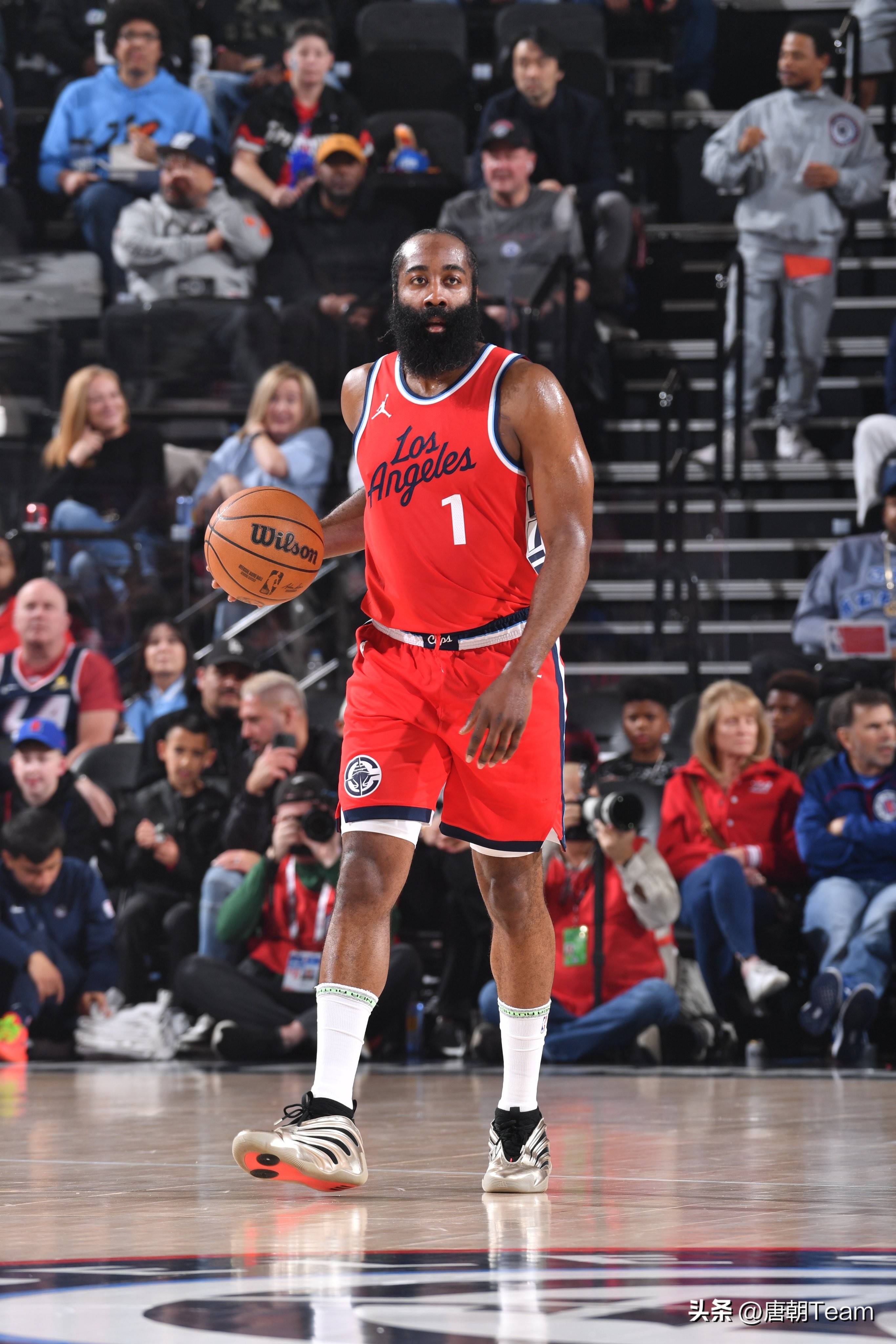 进入细节养 进入细节养